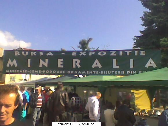 urmatorul targ ? - Expozitie de flori de mina fiind un centru minier - CALENDAR APICOL - EVENIMENTE APICOLE