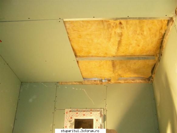 uscatorul de polen - Eu in apartament, am pus termopan, am vopsit cu - ECHIPAMENTE SI UTILAJE APICOLE