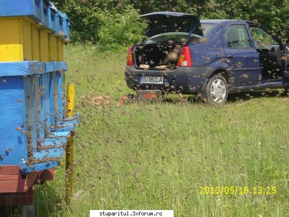 utilitare usoare si remorci recomandate pt eficientizare pastoral - badea.claudian - REZERVAT MEMBRILOR "STUPARITUL"