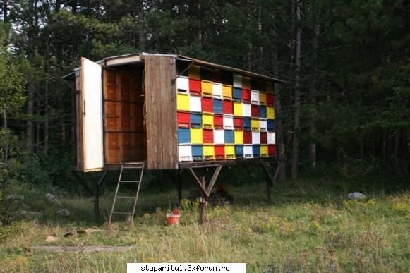 utilitare usoare si remorci recomandate pt eficientizare pastoral - skypi_0040 - REZERVAT MEMBRILOR "STUPARITUL"