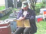 valter-sa cernut leatul s-a ramas umflatul - la Gosu ....la rapita - PAGINI PERSONALE ! CINE SUNT EU ?