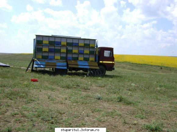 vand camion si pavilion apicol - vand camion Raba, cu container pentru 60 de - ECHIPAMENTE SI UTILAJE APICOLE