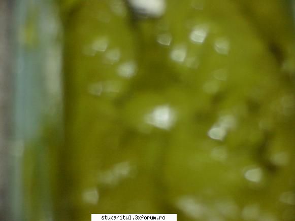 vitamine in hraniri de stimulare - Da, arata bizar culoarea verde dar albinelor le-a - HRANIREA ARTIFICIALA