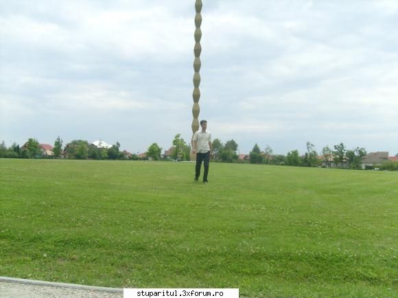 votati BRANCUSI - MAh o fi fost cea fost dar suntem atat de mici - CAFENEA - DISCUTII DESPRE ORICE