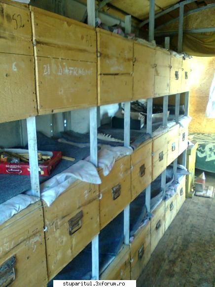 yrynel_clau - Am promis poze cu interiorul containerului - PAGINI PERSONALE ! CINE SUNT EU ?